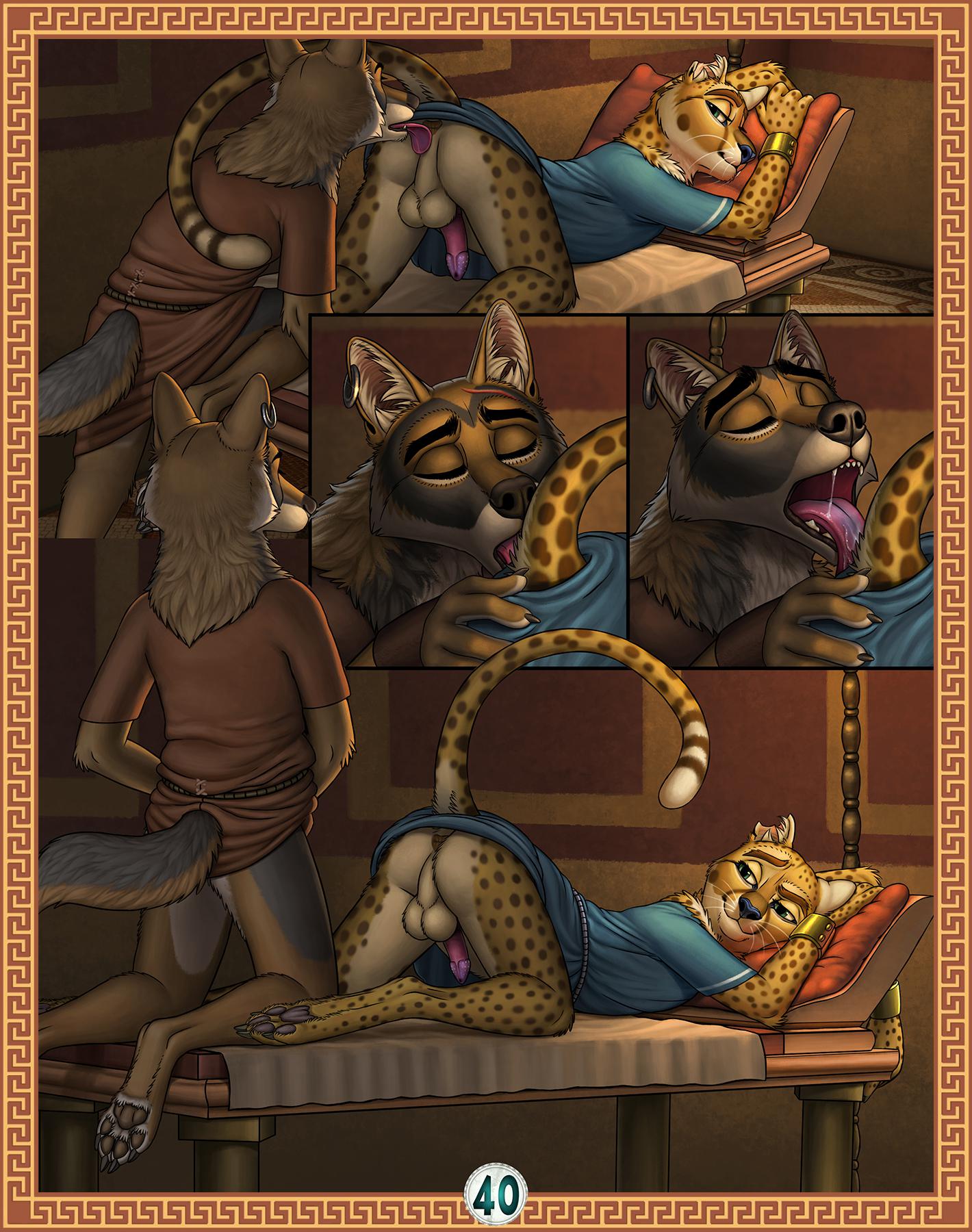 Page 41